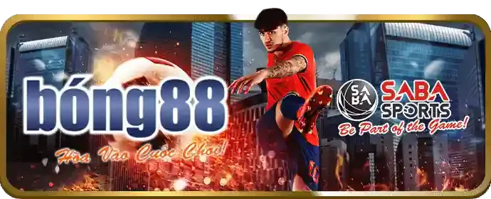 Tỷ lệ cược cao hấp dẫn